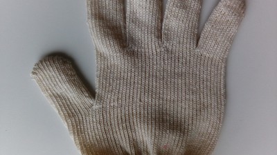 IMG_20161102_104025.jpg